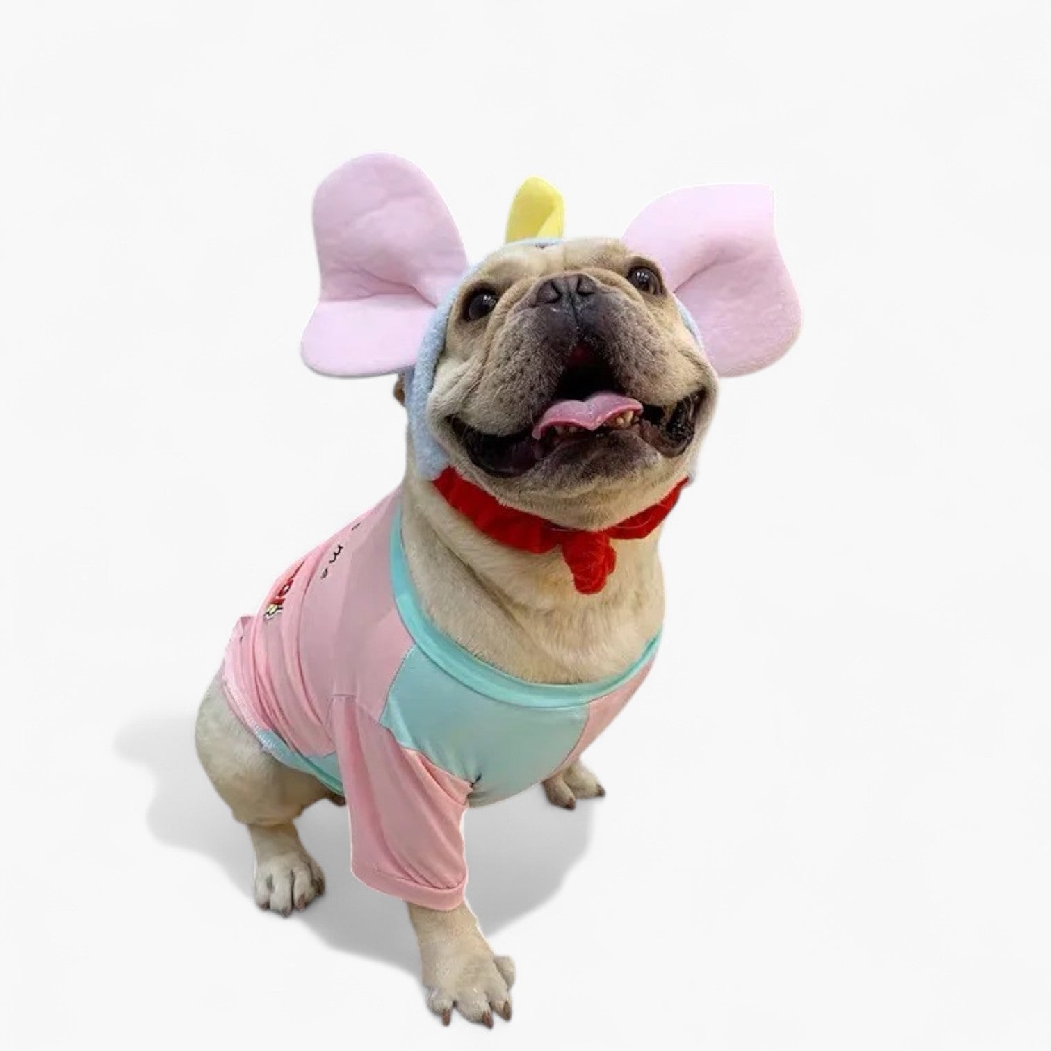 French Bulldog Halloween Sun Headwear for Training Sessions-fadou
