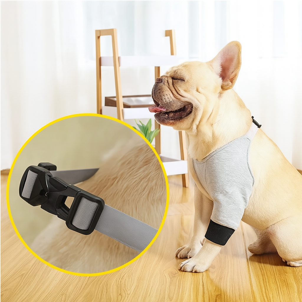 Dog Breathable Absorbent Underwear for Short-Nosed Dogs-fadou
