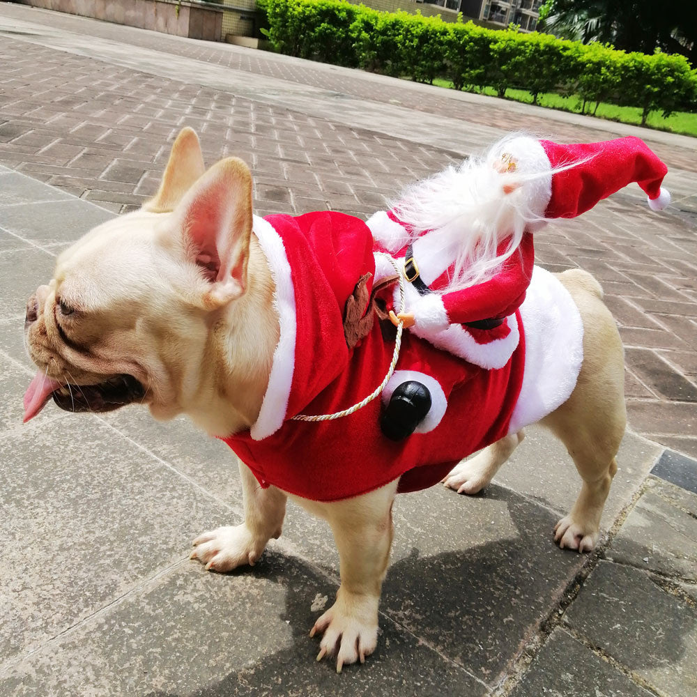 French Bulldog Funny Accessory for Frenchie Enthusiasts-fadou