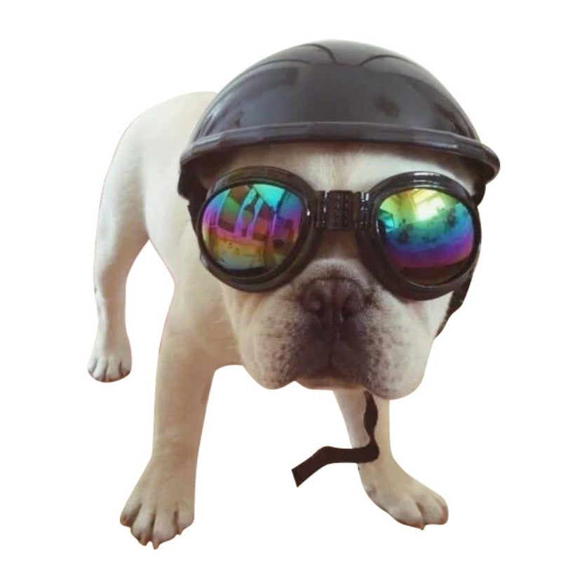 Frenchie Helmets for French Bulldog Owners and Fans for Frenchies-fadou
