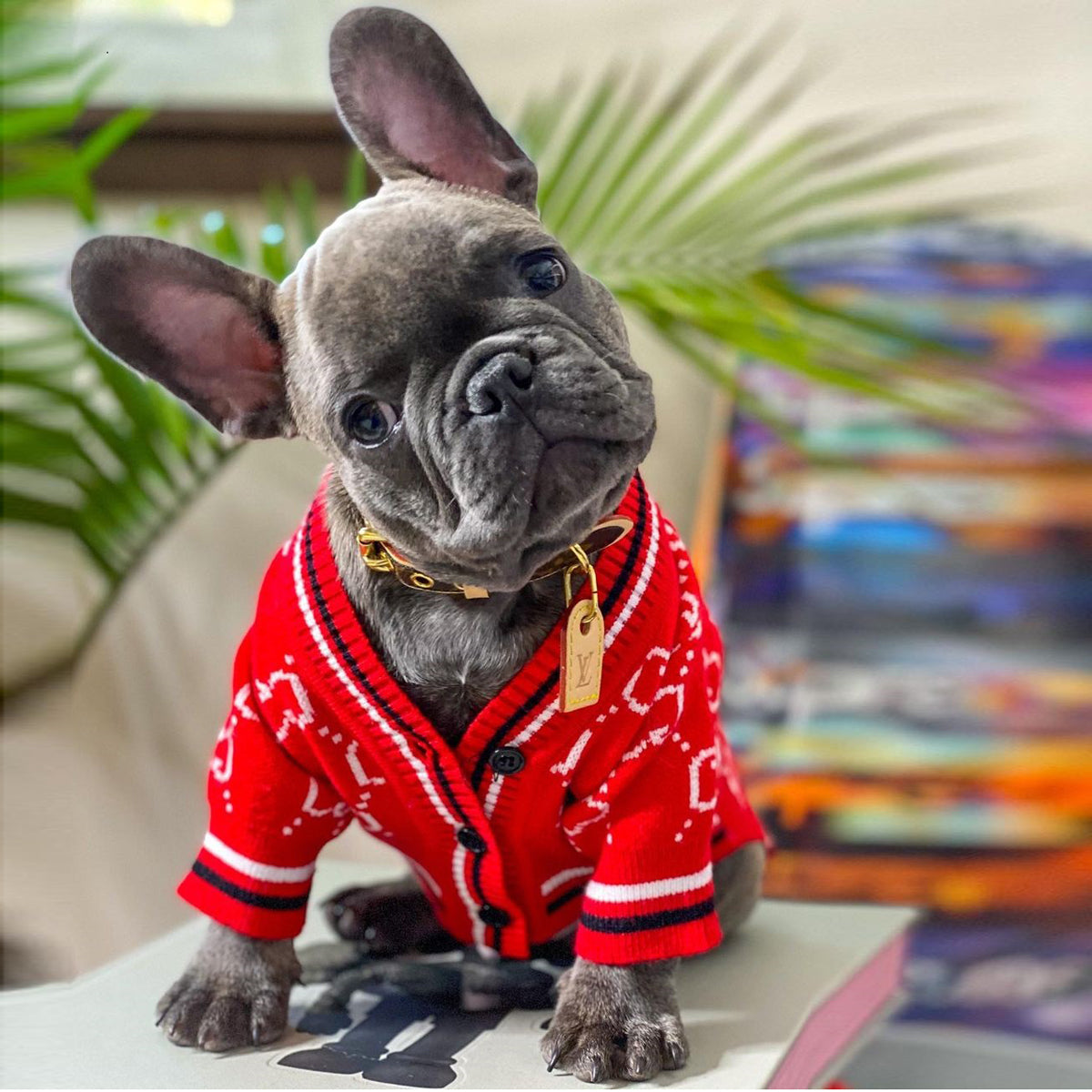 SnugglePup French Bulldog Accessory for Dog Moms & Dads-fadou