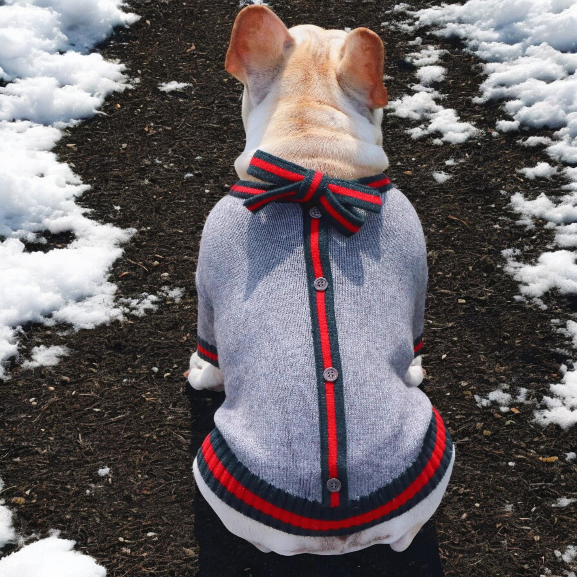 Frenchie Knit Pullover Sweater - Black with Red for French Bulldogs-fadou