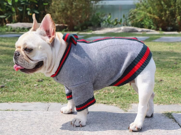 Frenchie Knit Pullover Sweater - Black with Red for French Bulldogs-fadou