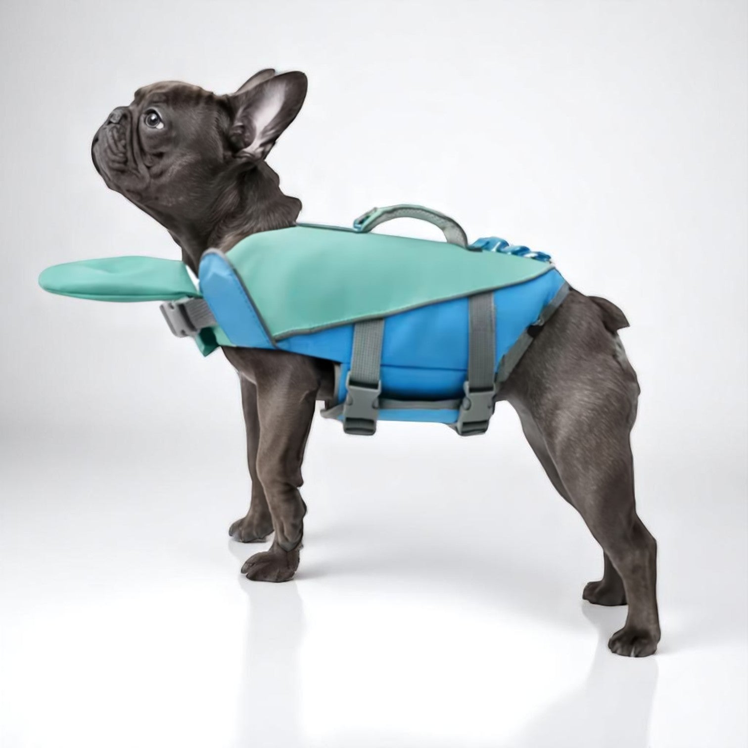 Frenchie Lifesaver Jacket – High-Visibility for French Bulldogs-fadou