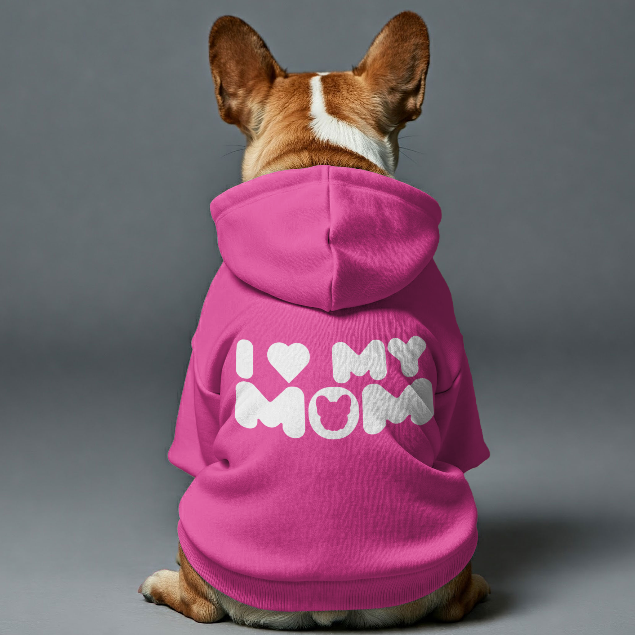 Personalized Cozy Pet Parent Pullover for Everyday Wear-fadou