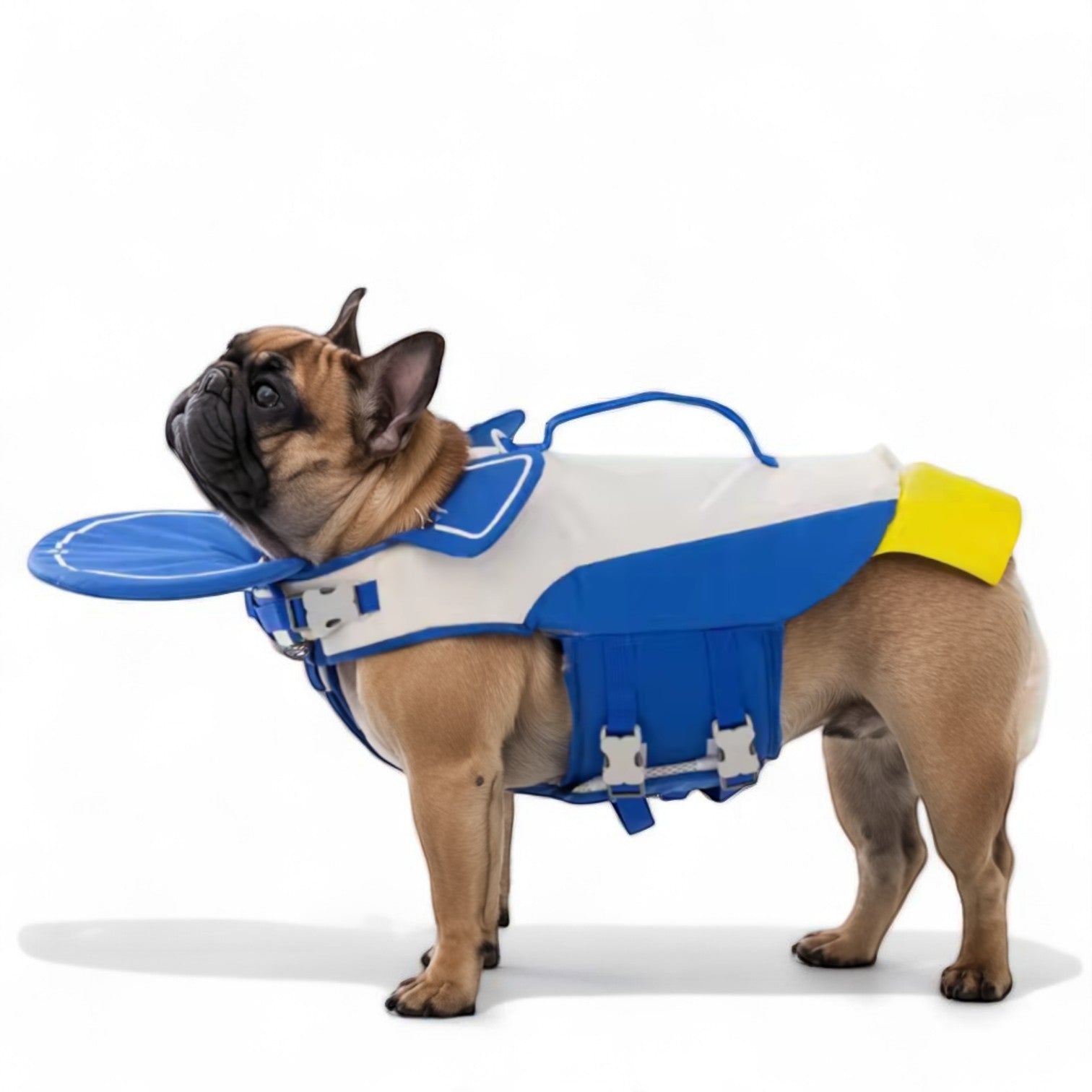 Frenchie Float Coat - AdjustableReflective Summer Life Jacket