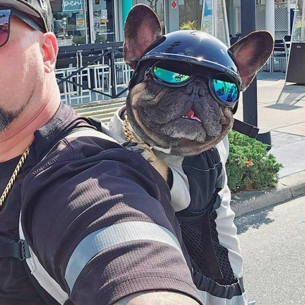 Ultimate French Bulldog Accessory for Frenchie Enthusiasts-fadou