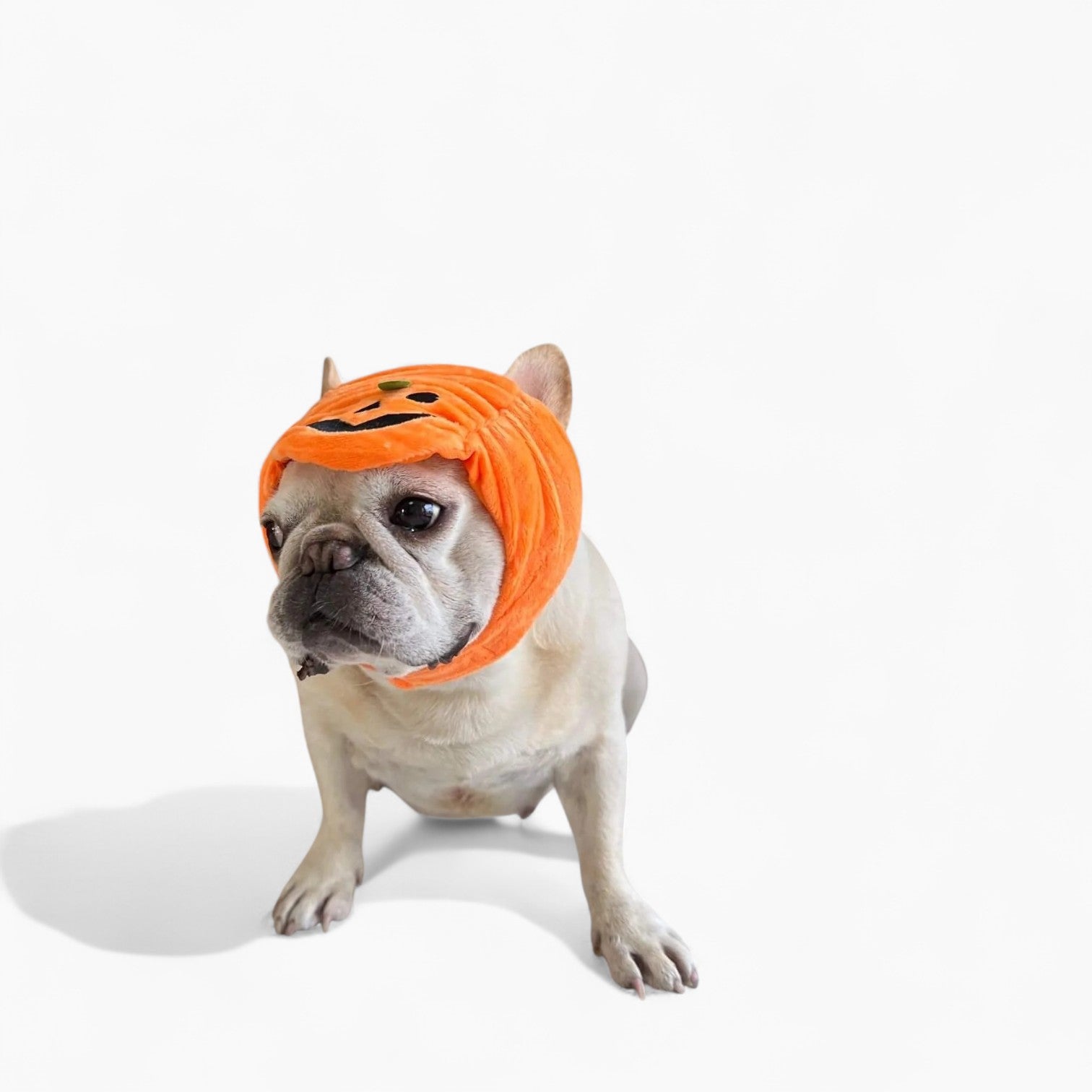 French Bulldog Cute Sun Headwear for Brachycephalic Dogs-fadou