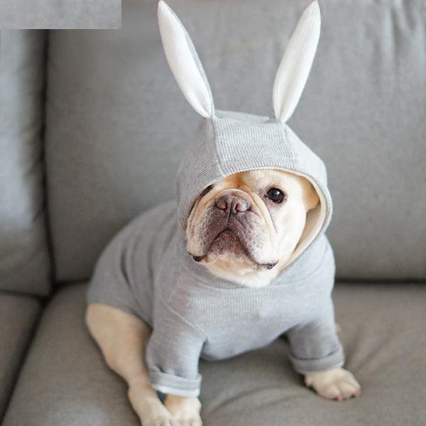 Rabbit French Bulldog Dog Mom Hoodie for Frenchie Enthusiasts-fadou