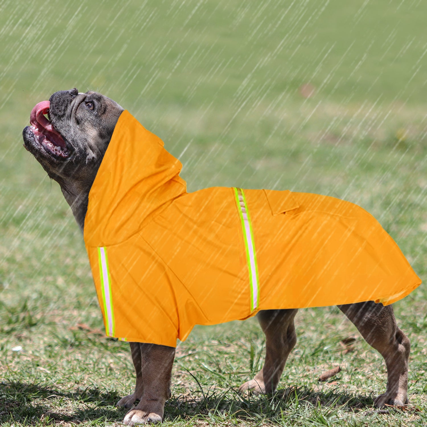 StormShield French Bulldog Weather Shield for French Bulldogs-fadou