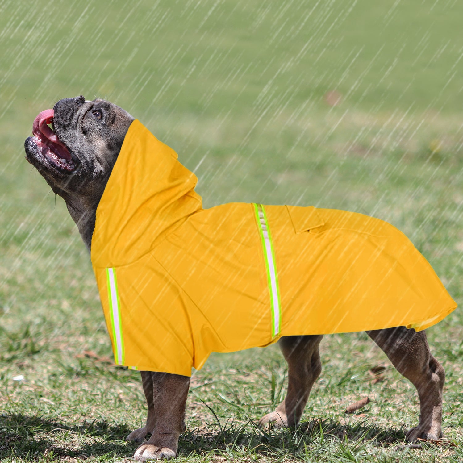 StormShield French Bulldog Weather Shield for French Bulldogs-fadou