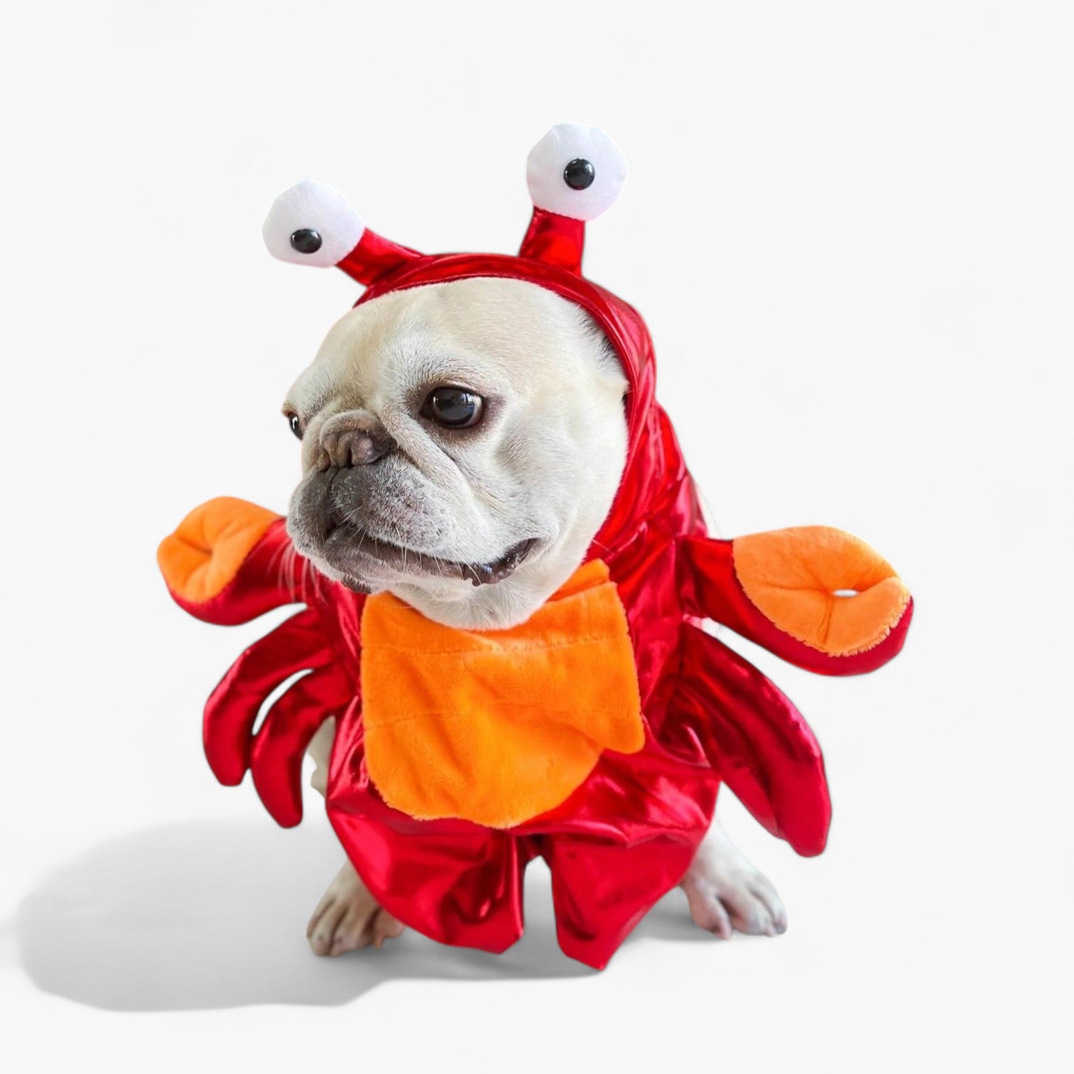 French Bulldog Warm Festive Costume for Short-Nosed Dogs-fadou
