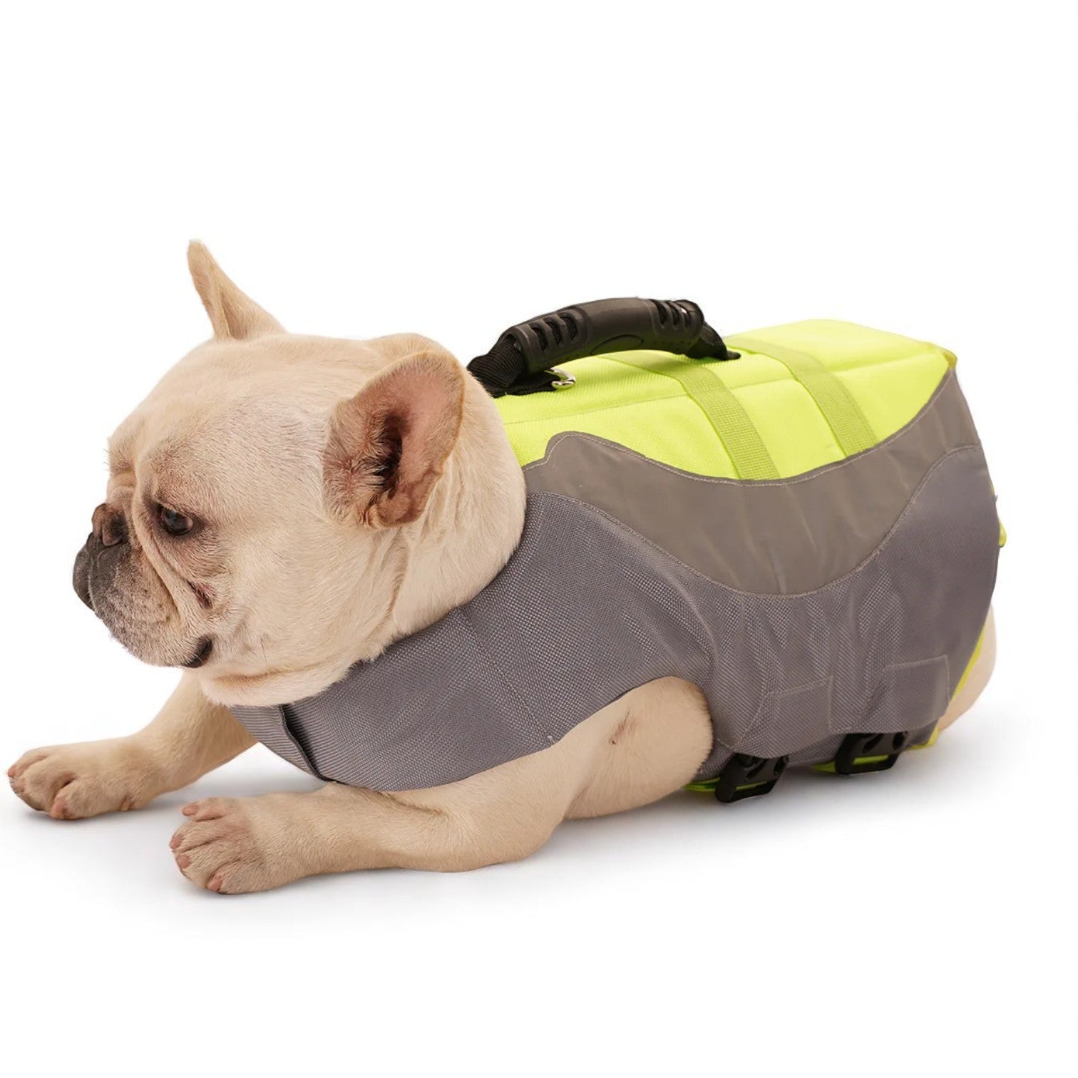 French Bulldog Adjustable Pet Jacket for French Bulldogs-fadou
