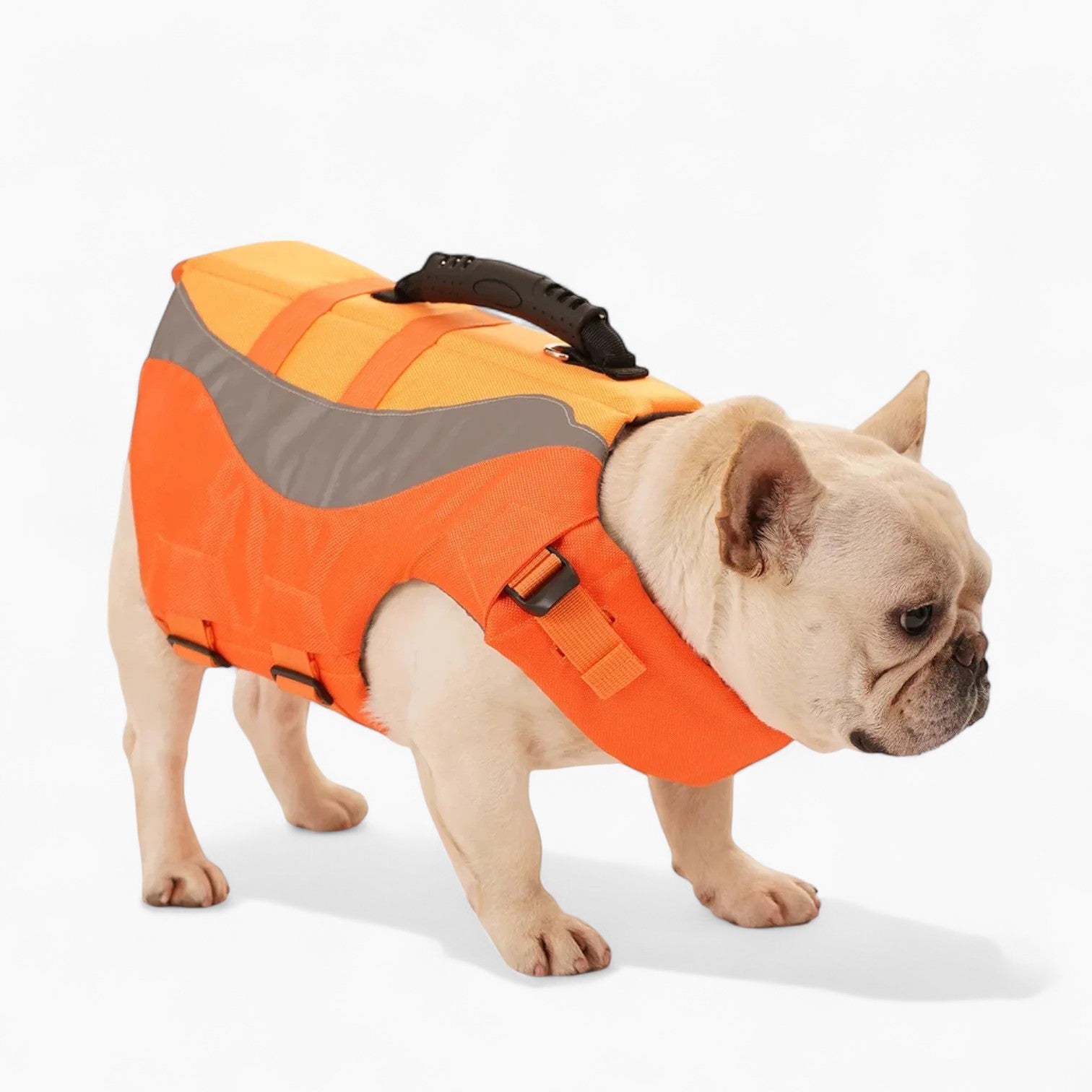 French Bulldog Adjustable Pet Jacket for French Bulldogs-fadou