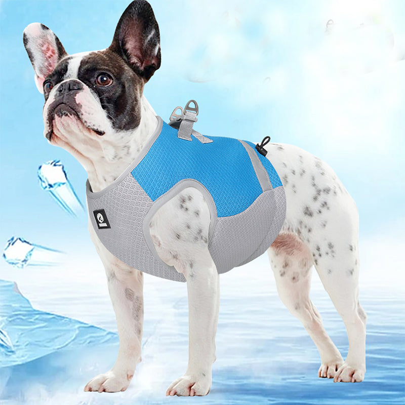 French Bulldog Reflective Item for Frenchie Enthusiasts-fadou