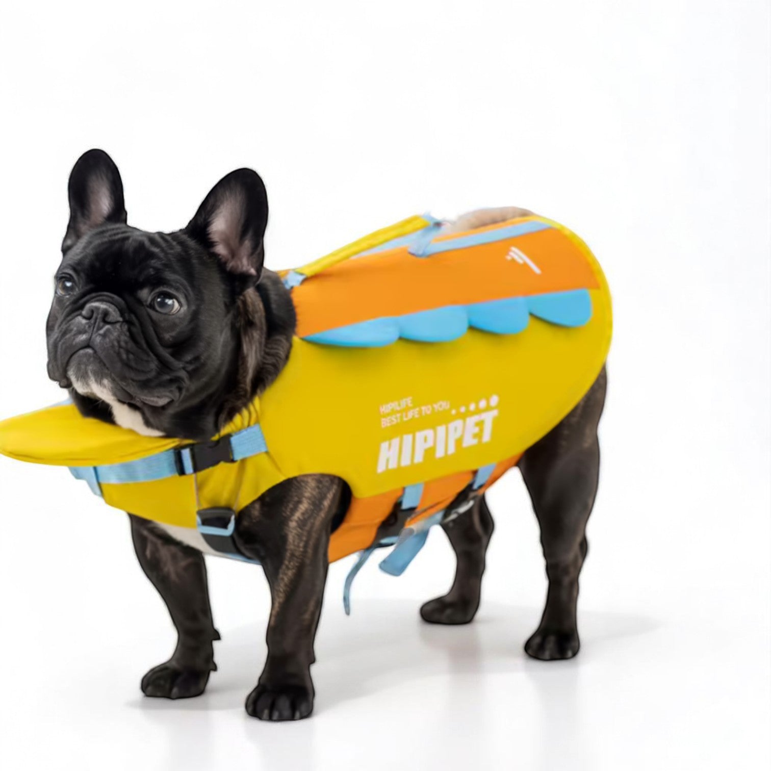 French Bulldog Summer Warm Outerwear for Travel Comfort-fadou