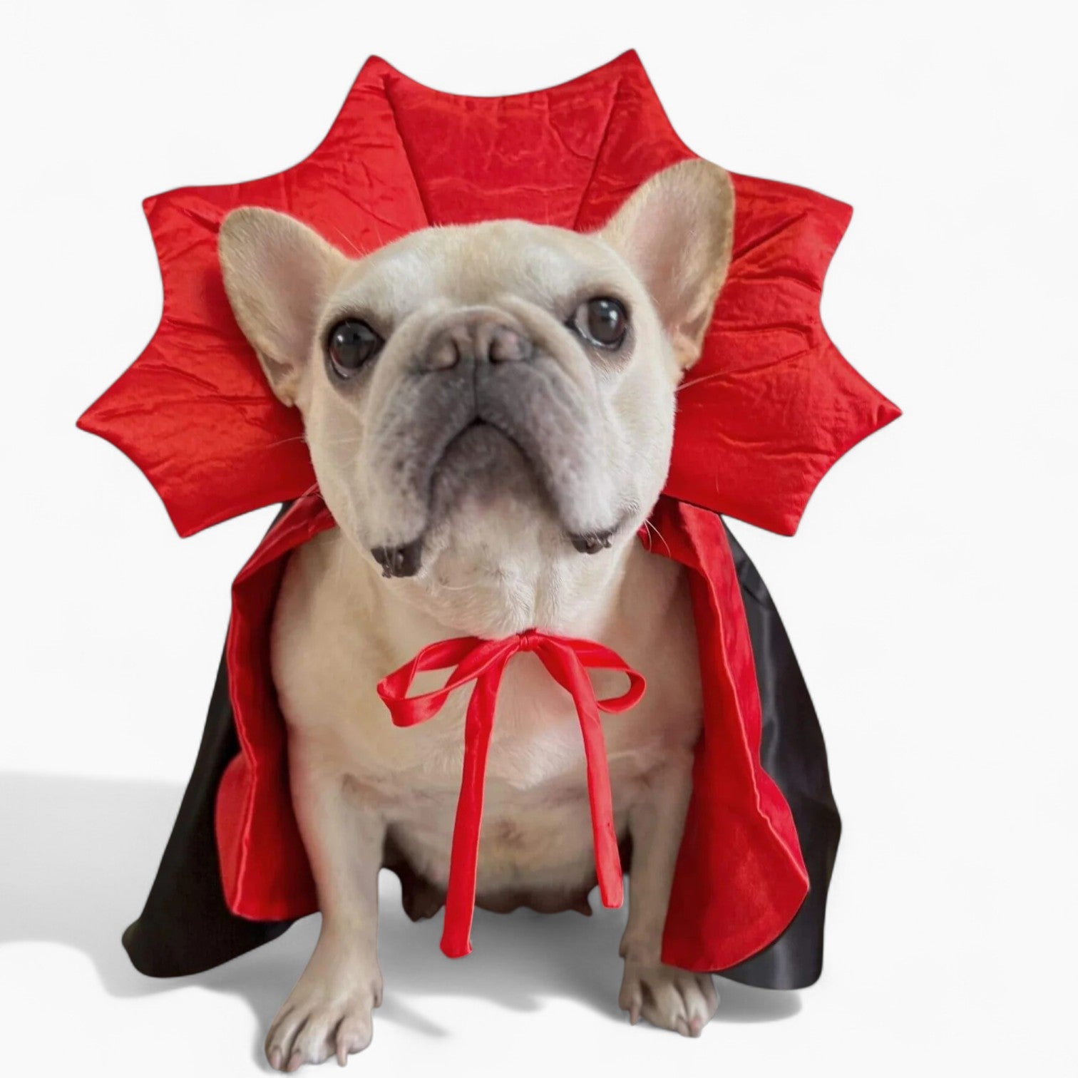 VamPuff Frenchie Vampire Cloak Costume – for Dog Lovers and Owners-fadou