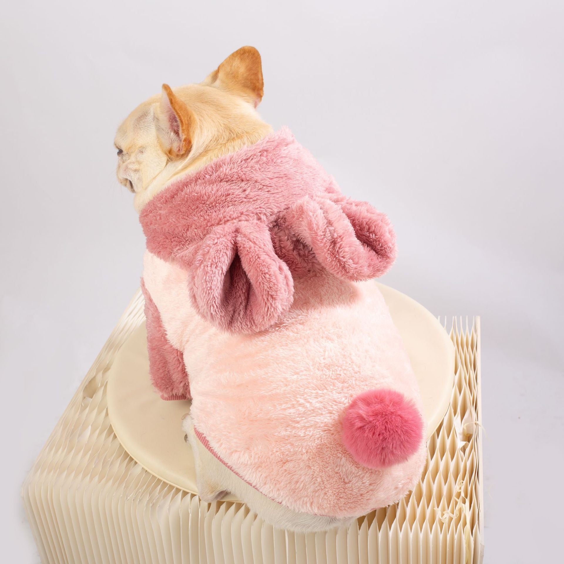 French Bulldog Plush Warm Knitwear for Flat-Face Breeds-fadou
