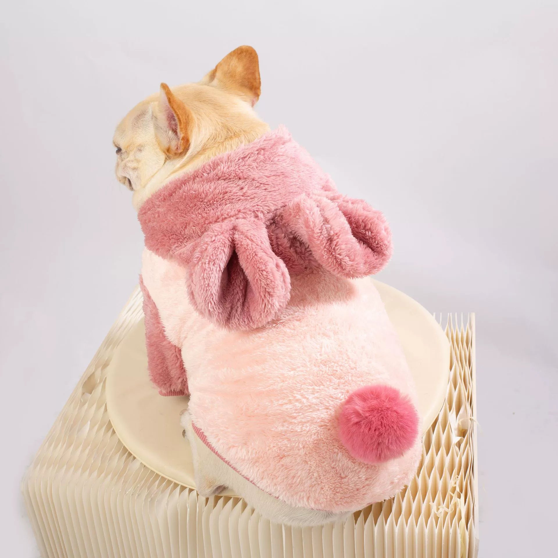 French Bulldog Plush Warm Knitwear for Flat-Face Breeds-fadou