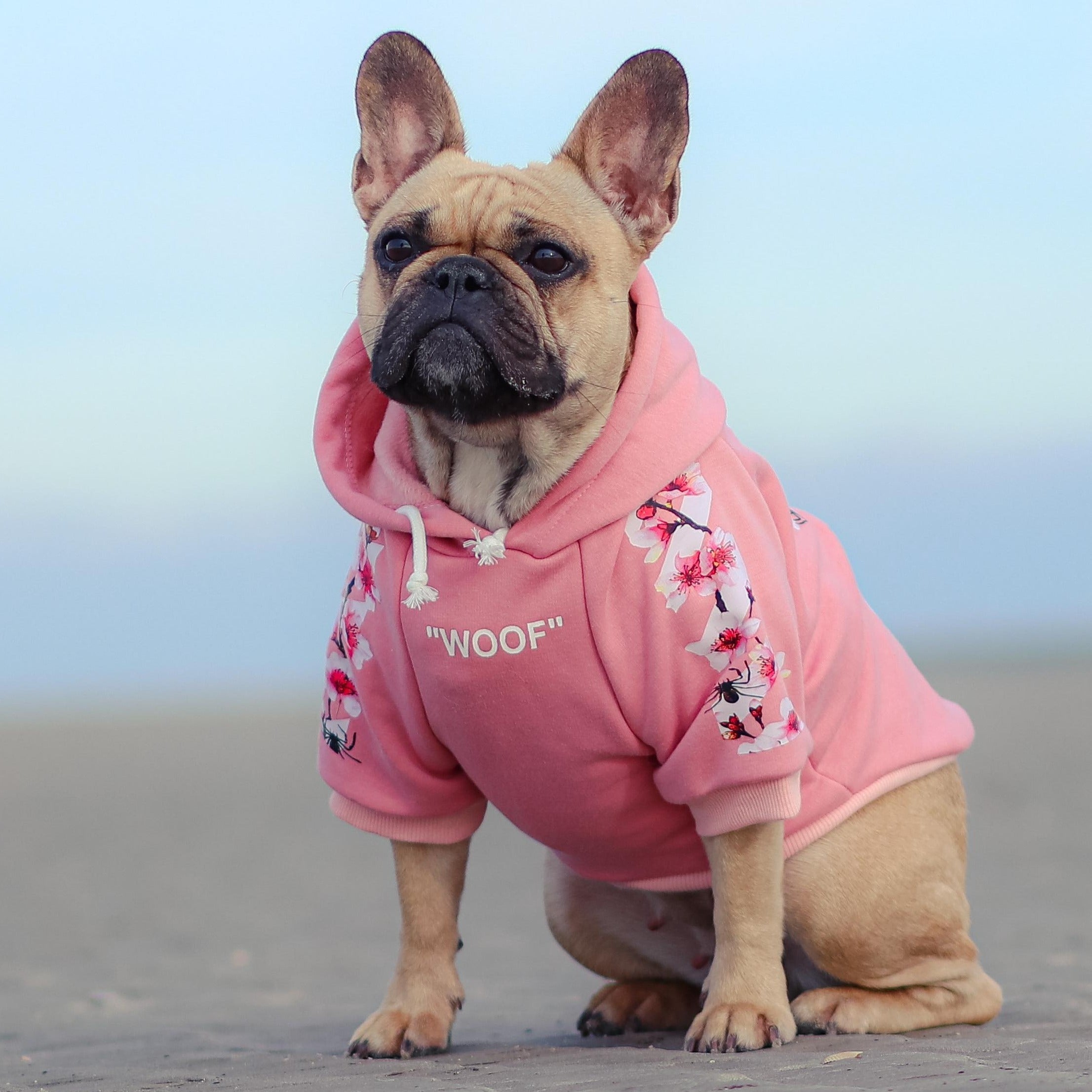 Frenchdot™ - French Bulldog Woof Hoodie for Dog Park Days-fadou