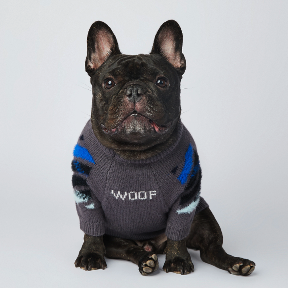 Frenchup™ - Frenchie Woof Winter Sweater for Frenchie Enthusiasts-fadou