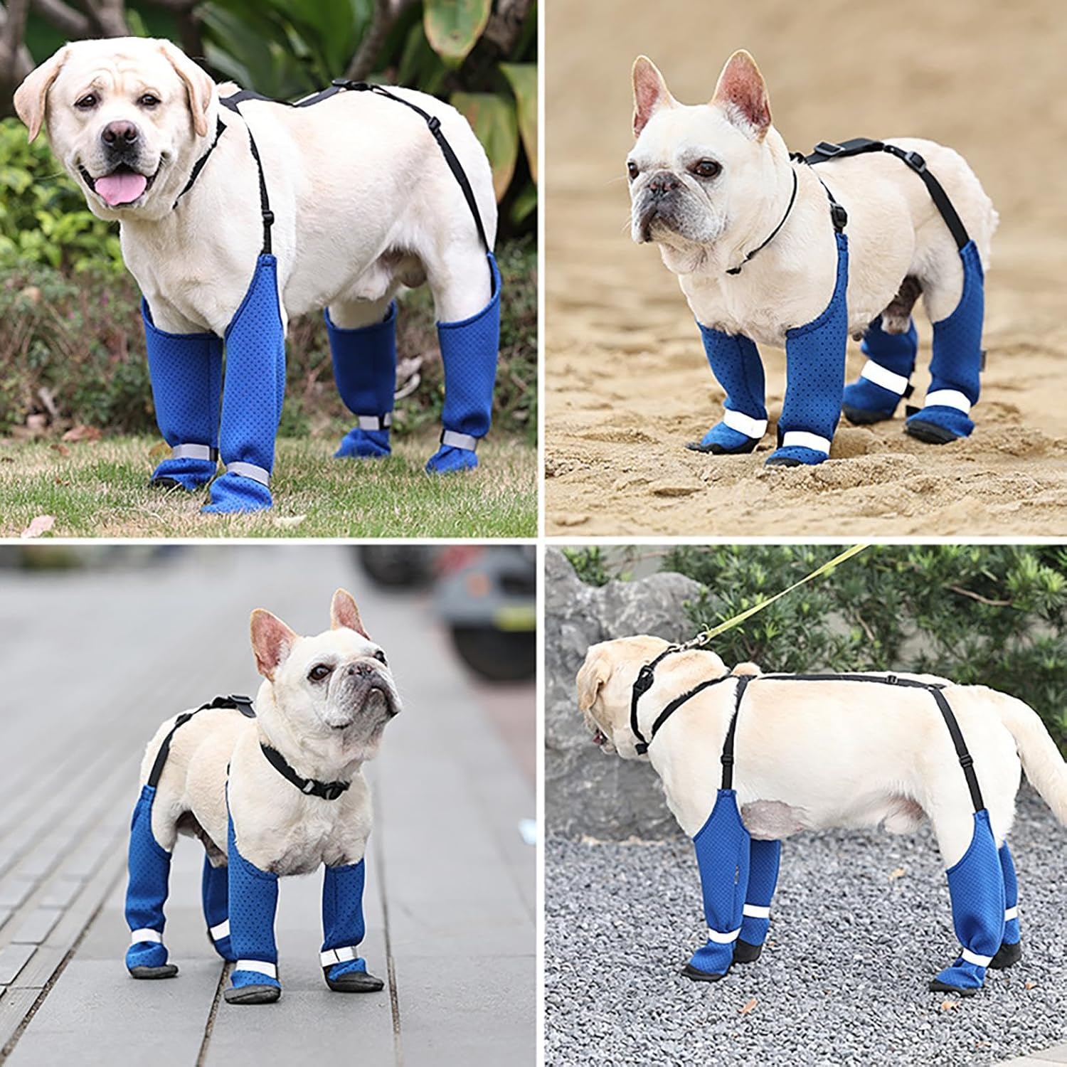 PawTrek French Bulldog Accessory for Frenchie Enthusiasts-fadou