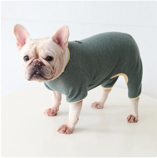 PoochPuff French Bulldog Accessory for Frenchie Enthusiasts-fadou