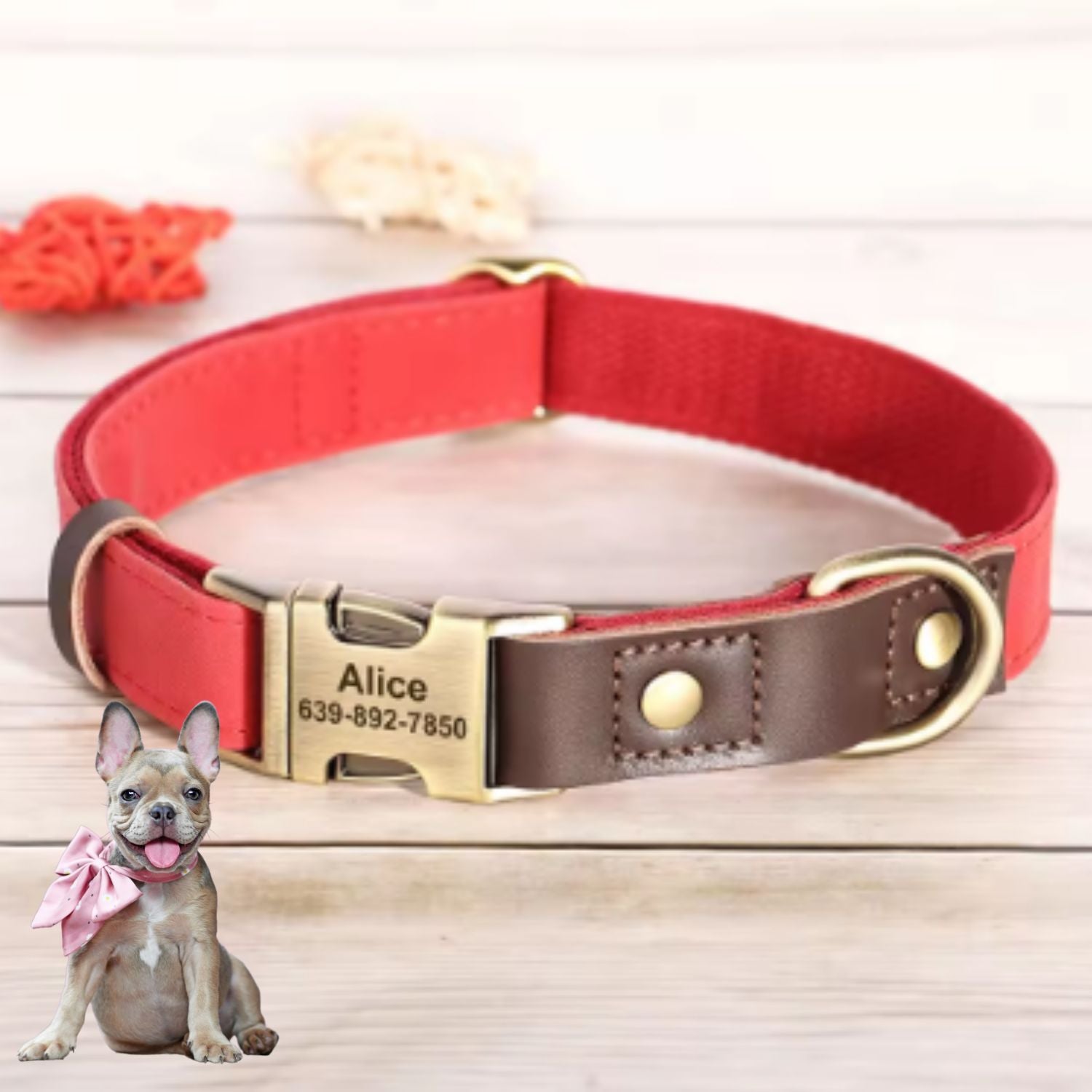 Personalized Adjustable Adjustable Collar for Flat-Face Breeds-fadou