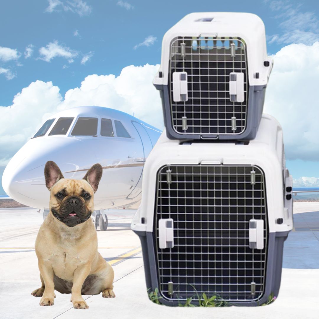 BatNest French Bulldog Sleep Nest for Outdoor Adventures-fadou