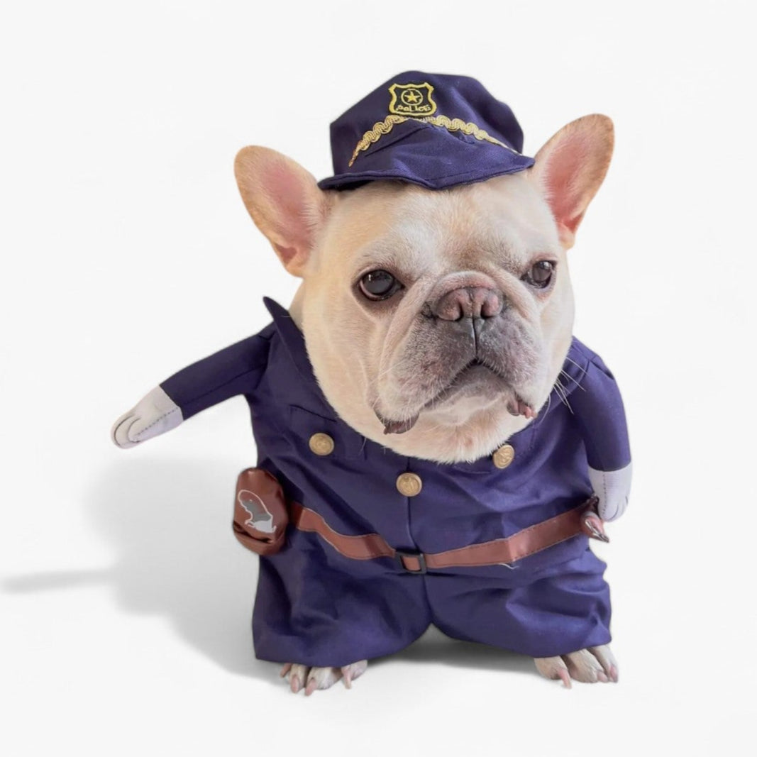 Halloween Funny Halloween Cosplay for Training Sessions-fadou