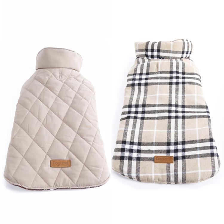 French Bulldog Jacket for Bulldog Fans for French Bulldogs-fadou