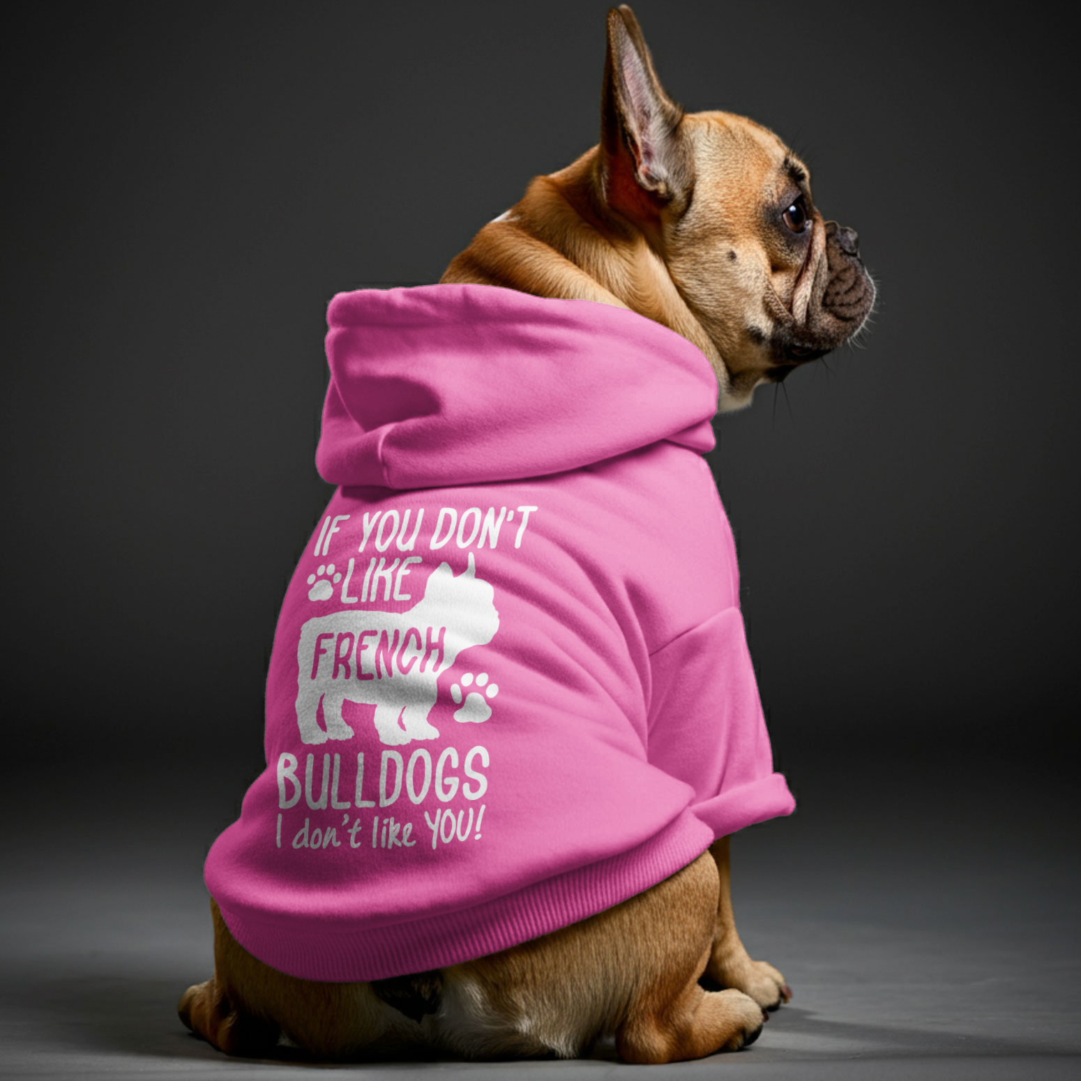 French Bulldog Stylish Pet Sweatshirt for Outdoor Adventures-fadou