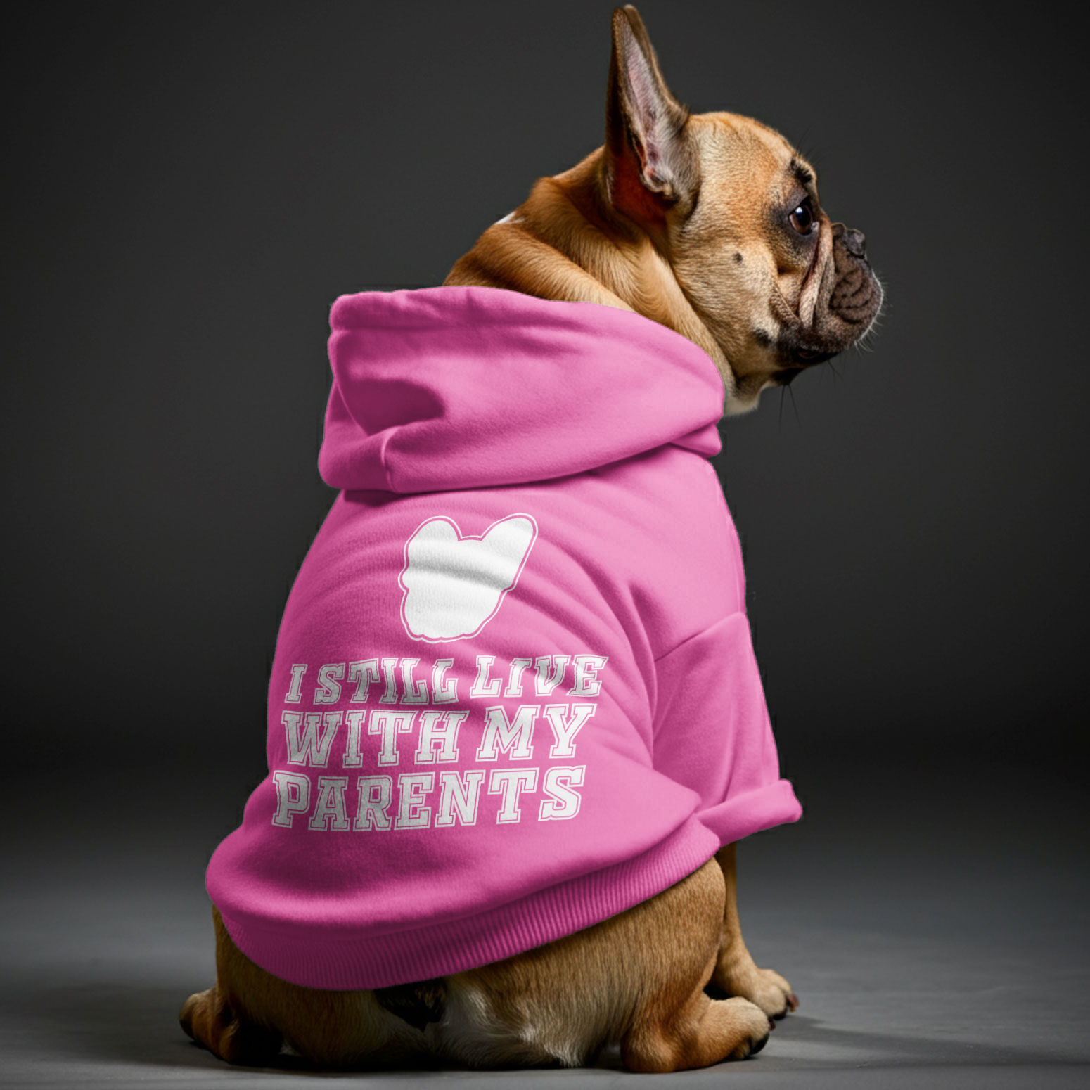 French Bulldog Funny Dog Hoodie for Brachycephalic Dogs-fadou