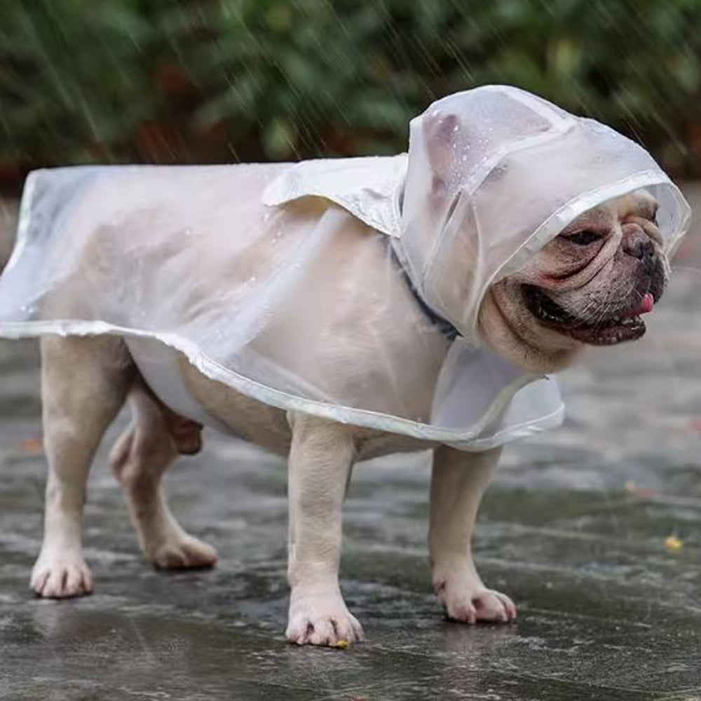 Transparent Portable Waterproof Coat for Outdoor Adventures-fadou