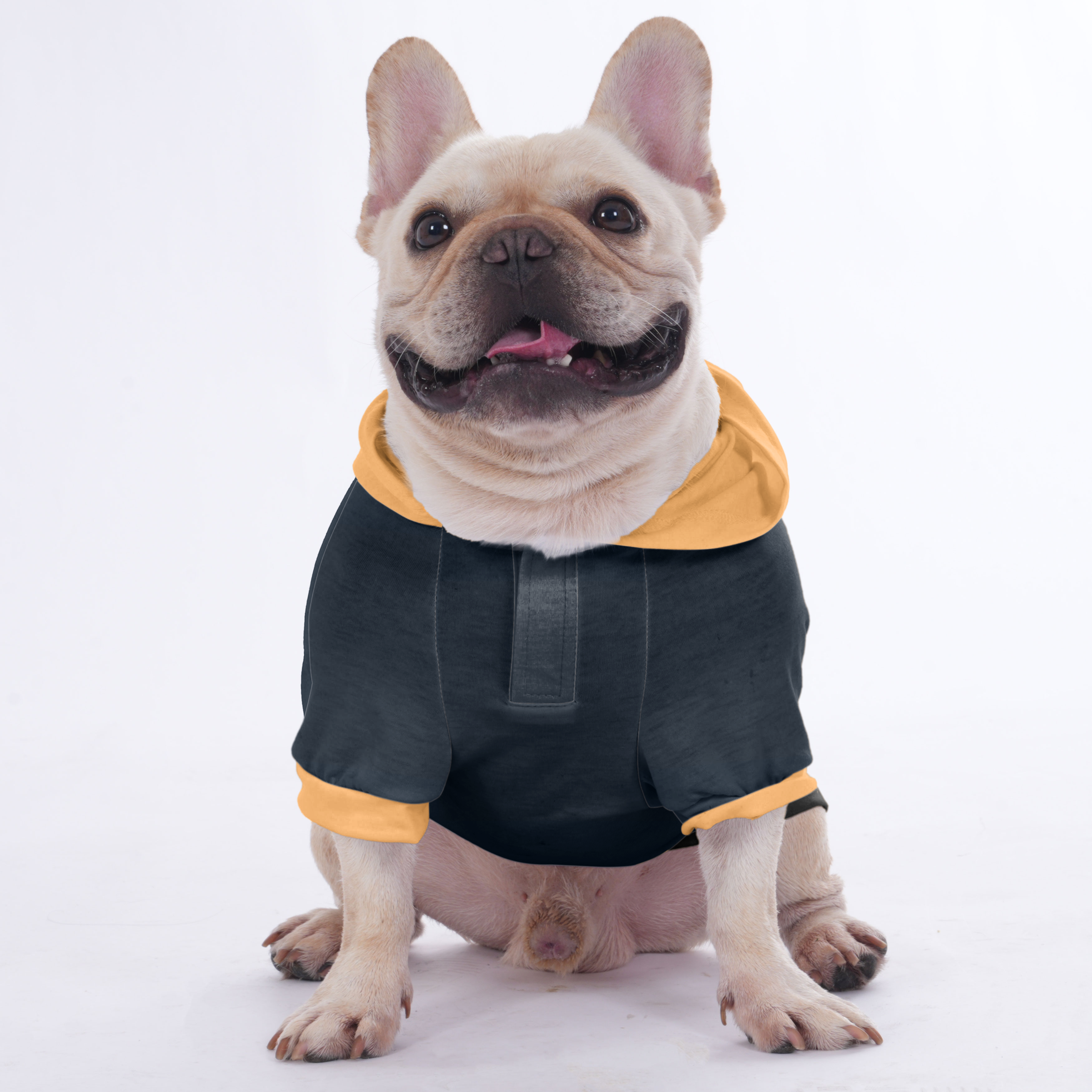 The French Bulldog Pet Sweatshirt for Brachycephalic Dogs-fadou