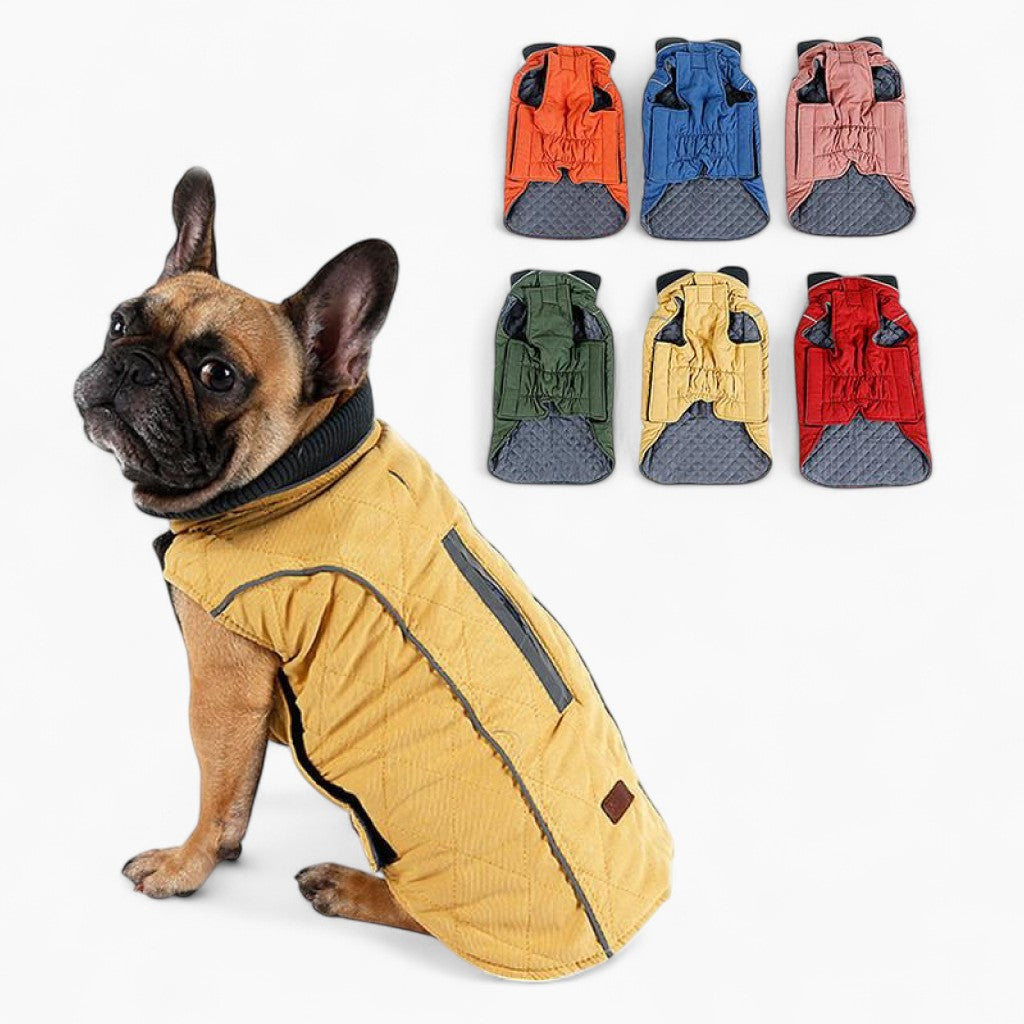 Cooper Jacket - Frenchie Waterproof Jacket for Frenchie Fans-fadou