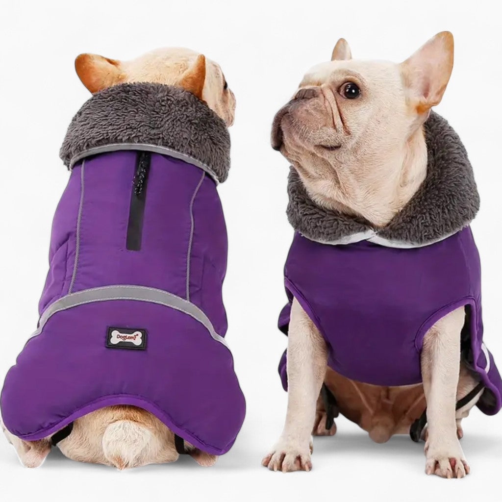 Warm Coat for Frenchie for French Bulldog Owners and Fans-fadou