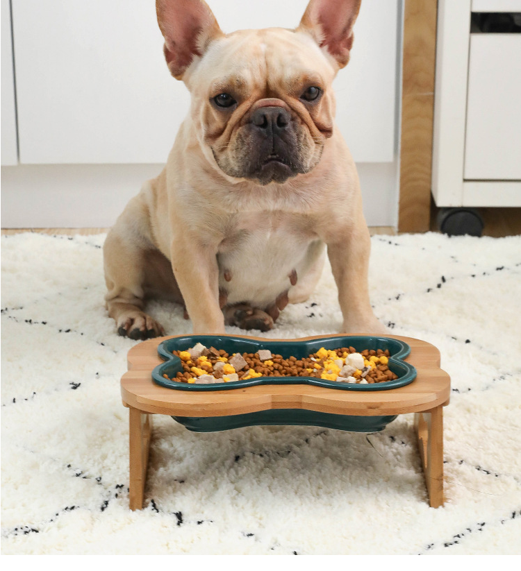 Anti-Overturning Secure Pet Bowl for Outdoor Adventures-fadou