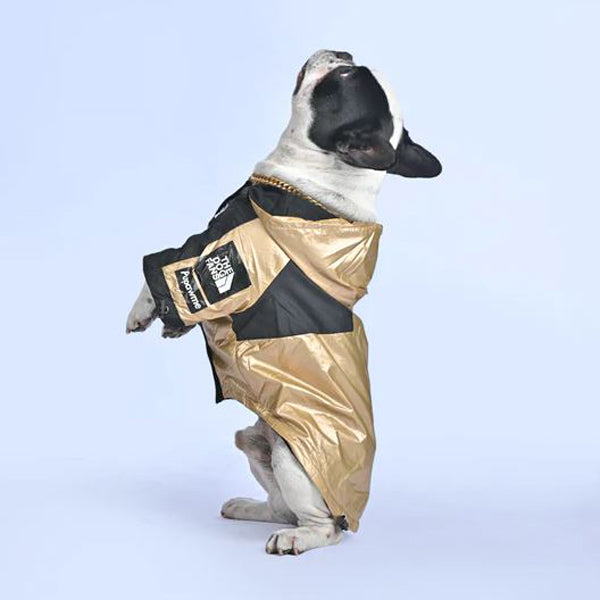 French Bulldog Warm Weather Shield for Short-Nosed Dogs-fadou