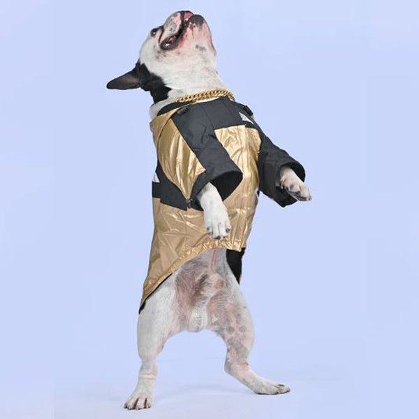 French Bulldog Warm Weather Shield for Short-Nosed Dogs-fadou