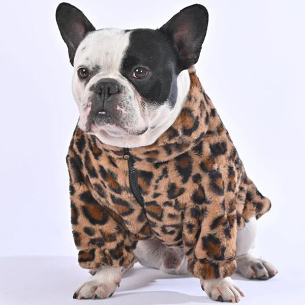 French Bulldog Winter Knit Sweater for Training Sessions-fadou