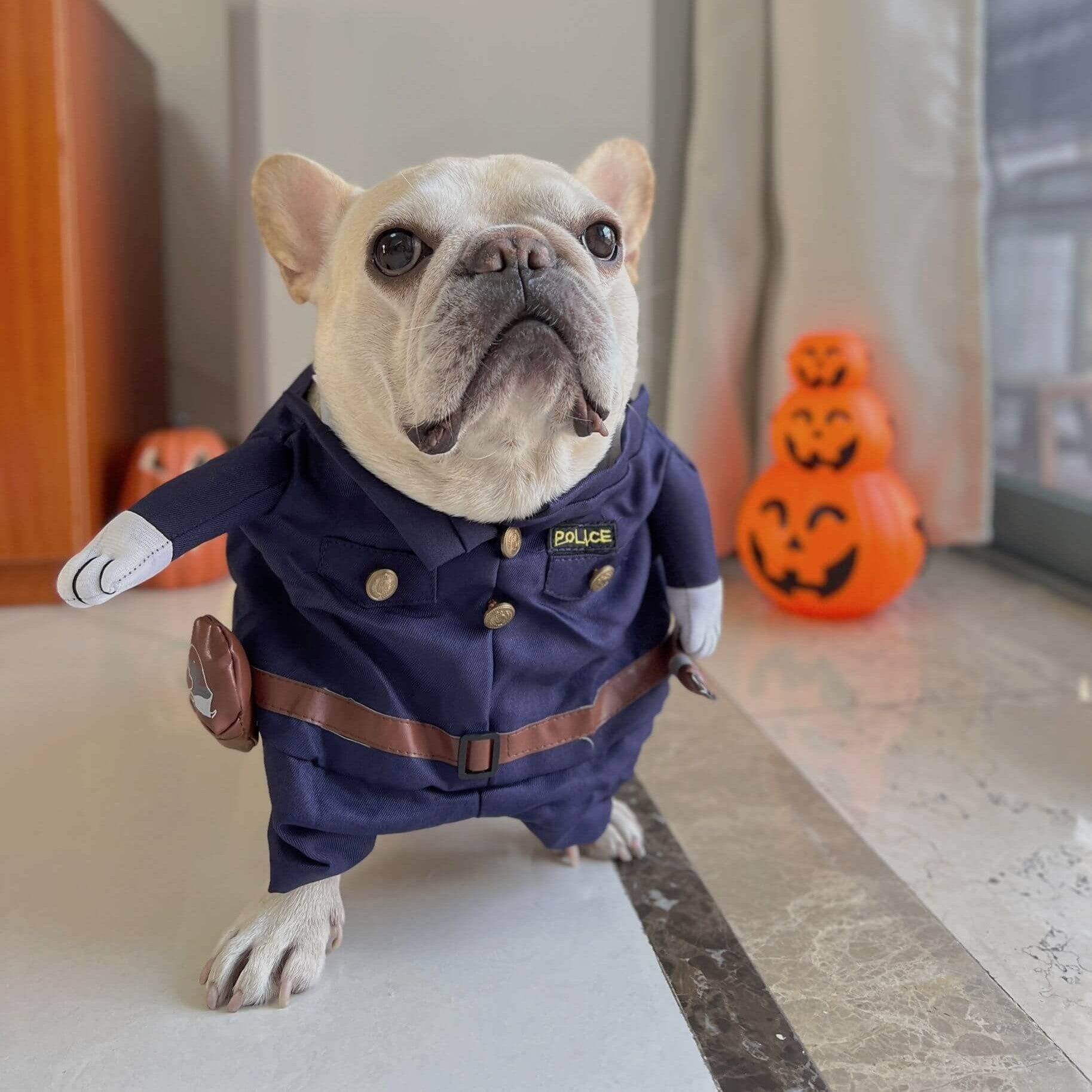 Halloween Funny Halloween Cosplay for Training Sessions-fadou