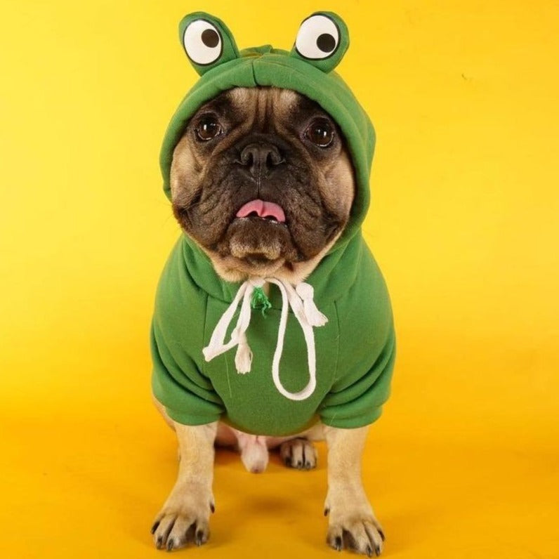 French Bulldog Winter Dog Mom Hoodie for Bulldog Owners-fadou