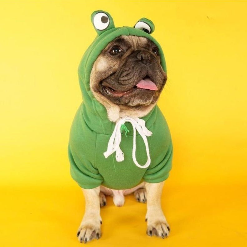 French Bulldog Winter Dog Mom Hoodie for Bulldog Owners-fadou