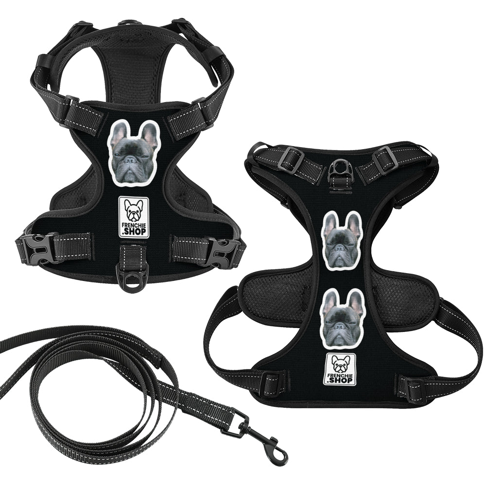 Personalized No-Pull Chest Harness for Short-Nosed Dogs-fadou