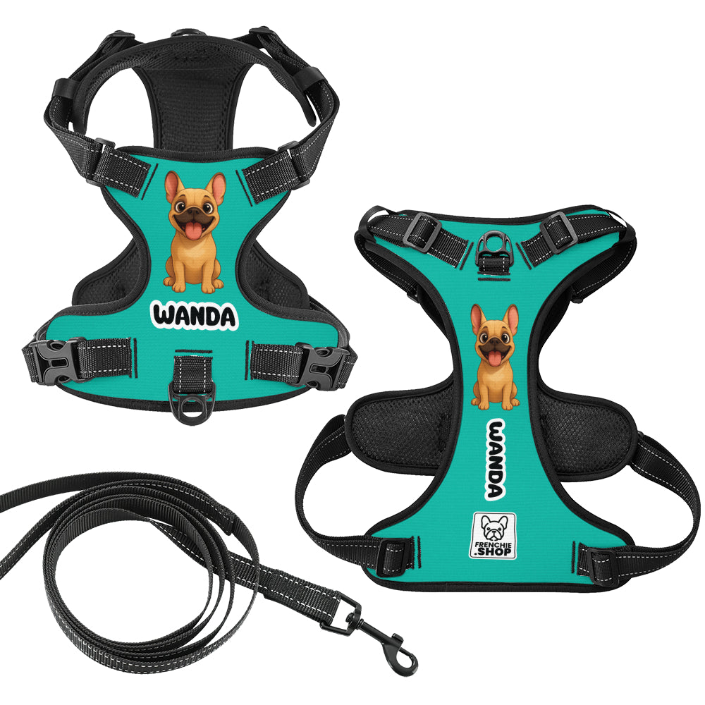 Personalized No-Pull No-Pull Vest for Training Sessions-fadou