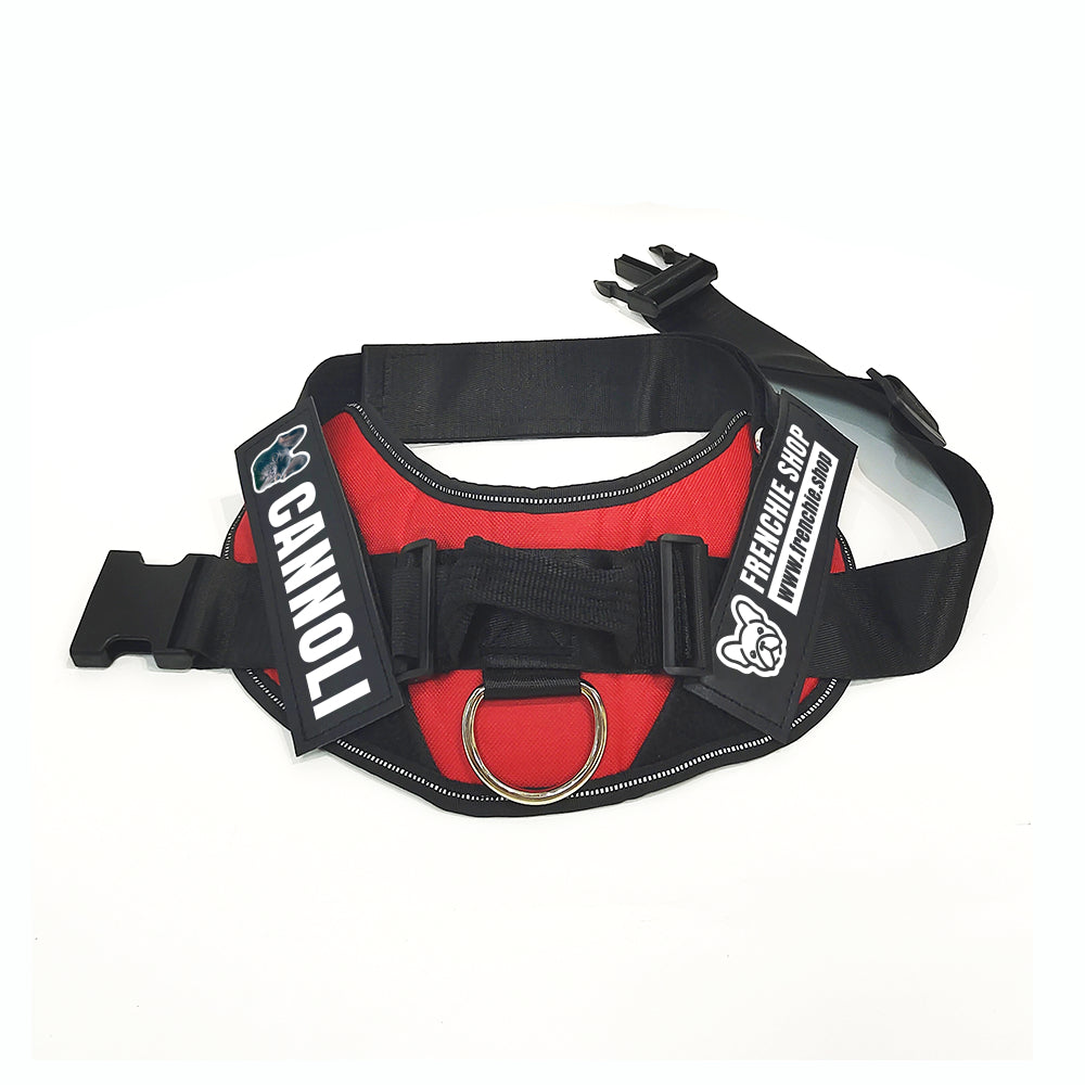 Frenchie Personalized Walking Harness for Brachycephalic Dogs-fadou