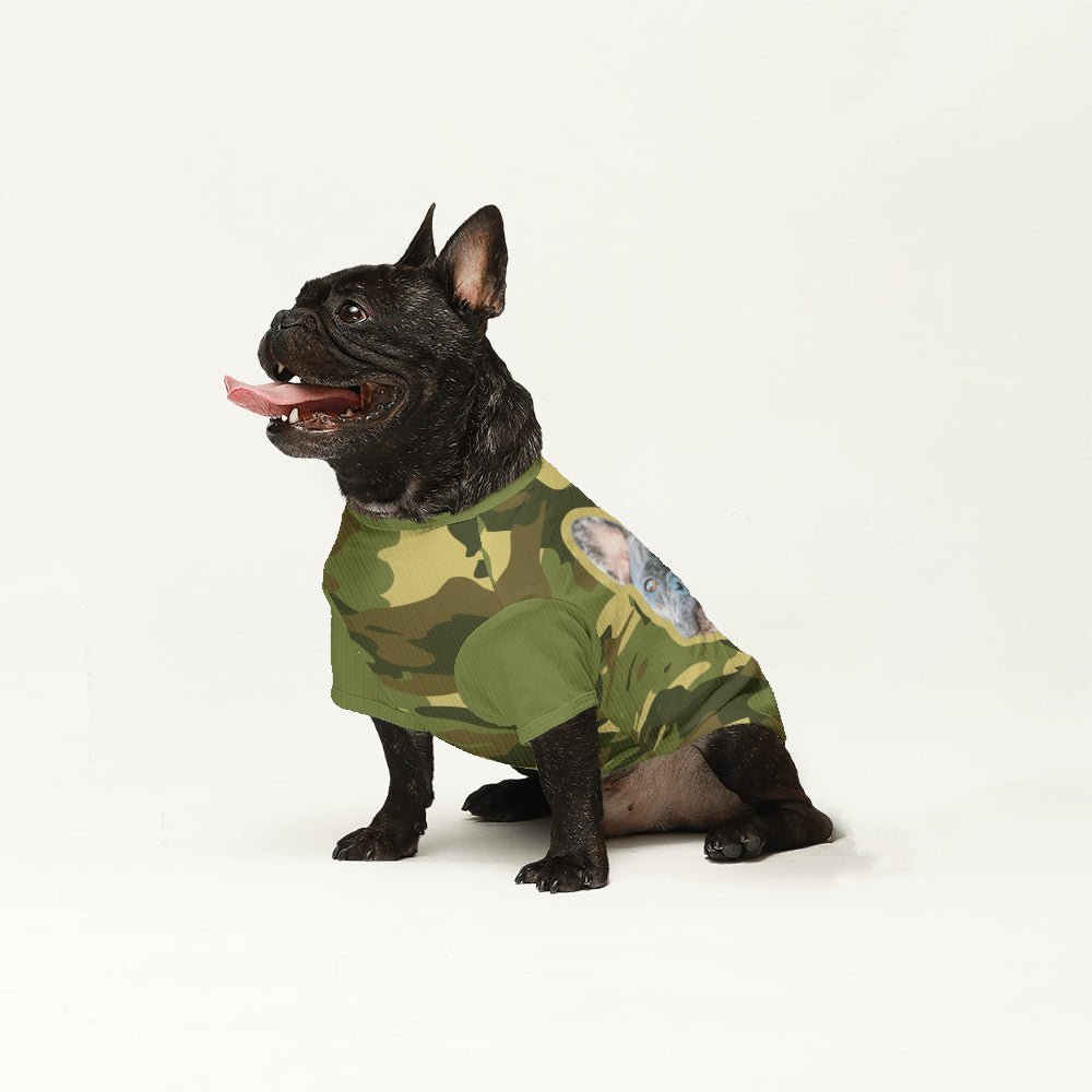 French Bulldog Personalized Pet Sweater for Playtime Fun-fadou