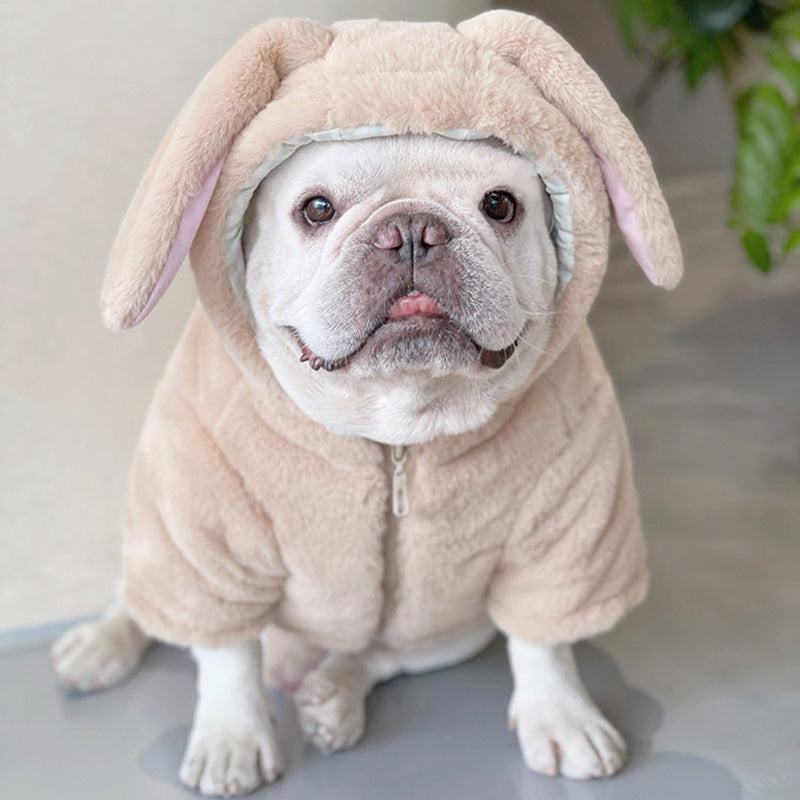 French Bulldog Winter Pet Sweater for Outdoor Adventures-fadou