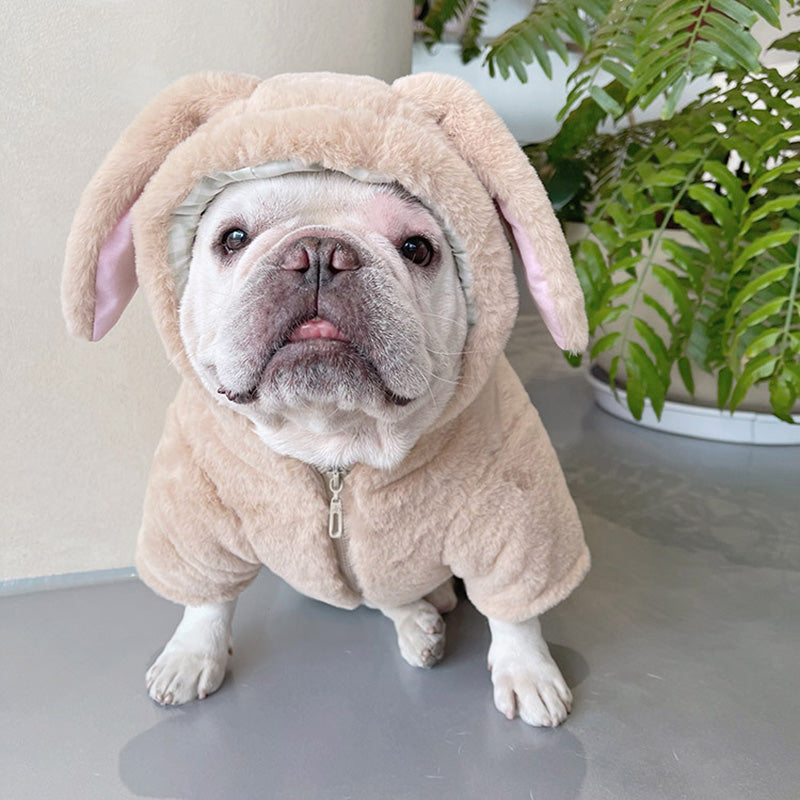 French Bulldog Winter Pet Sweater for Outdoor Adventures-fadou